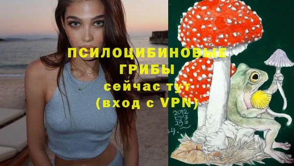 винт Абинск